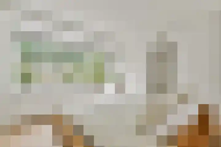 Koxhorn 11 3 Amsterdam thumbnail 25