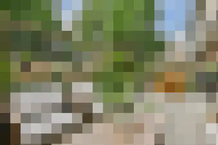 Koxhorn 11 3 Amsterdam thumbnail 27