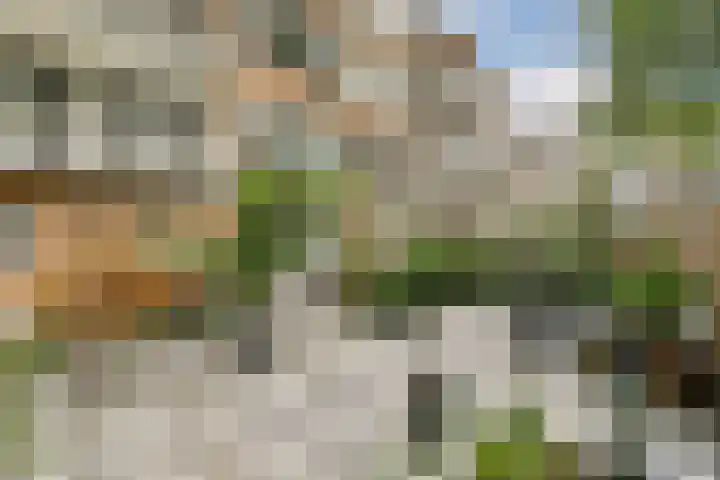 Koxhorn 11 3 Amsterdam thumbnail 28
