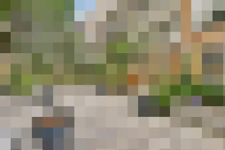 Koxhorn 11 3 Amsterdam thumbnail 29