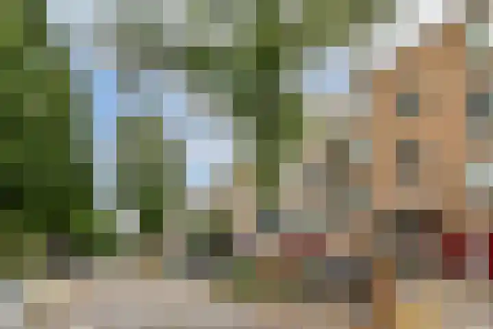 Koxhorn 11 3 Amsterdam thumbnail 31