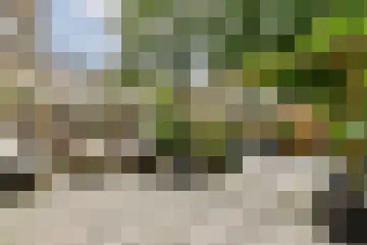 Koxhorn 11 3 Amsterdam thumbnail 35