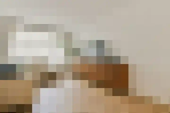 Koxhorn 11 3 Amsterdam thumbnail 4
