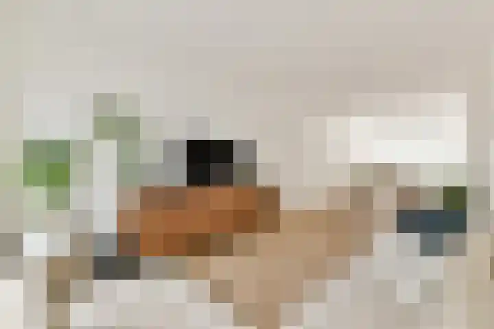 Koxhorn 11 3 Amsterdam thumbnail 5