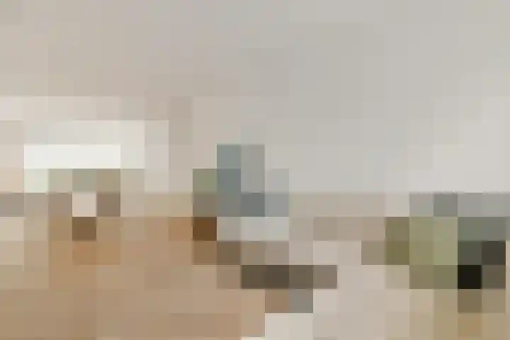 Koxhorn 11 3 Amsterdam thumbnail 6
