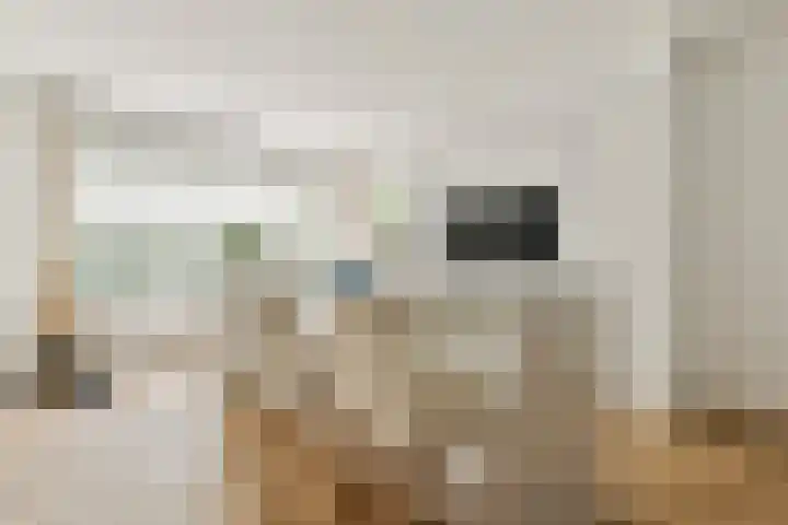 Koxhorn 11 3 Amsterdam thumbnail 7