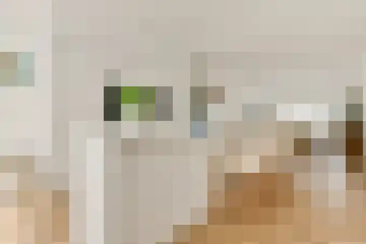 Koxhorn 11 3 Amsterdam thumbnail 8
