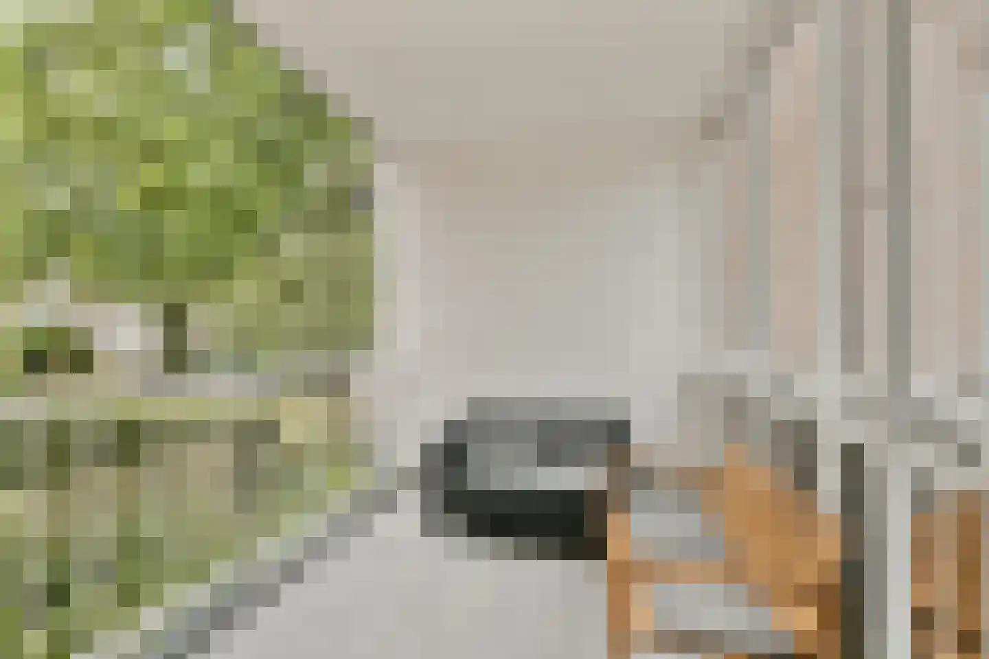 Koxhorn 2 1 Amsterdam thumbnail 12