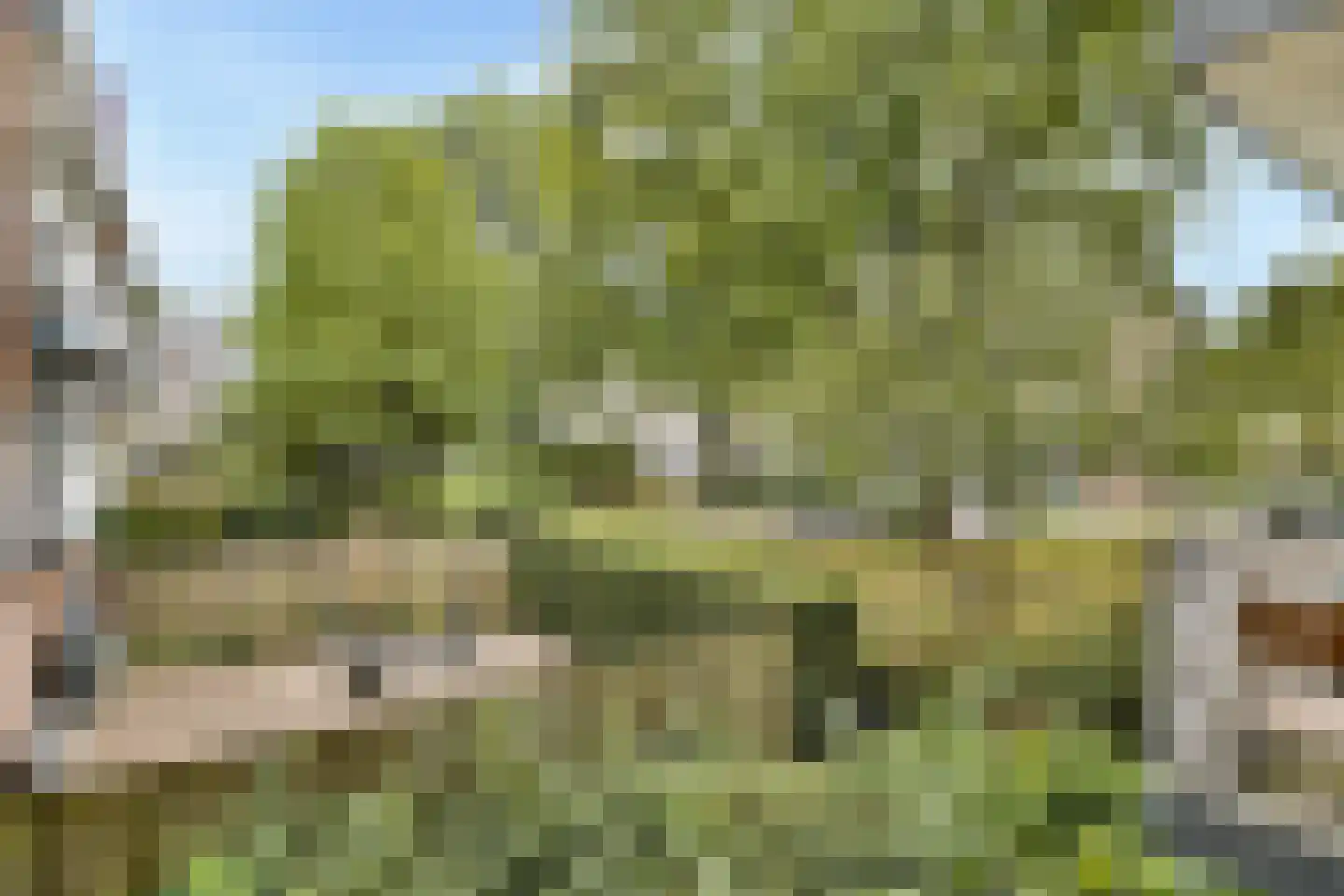 Koxhorn 2 1 Amsterdam thumbnail 13