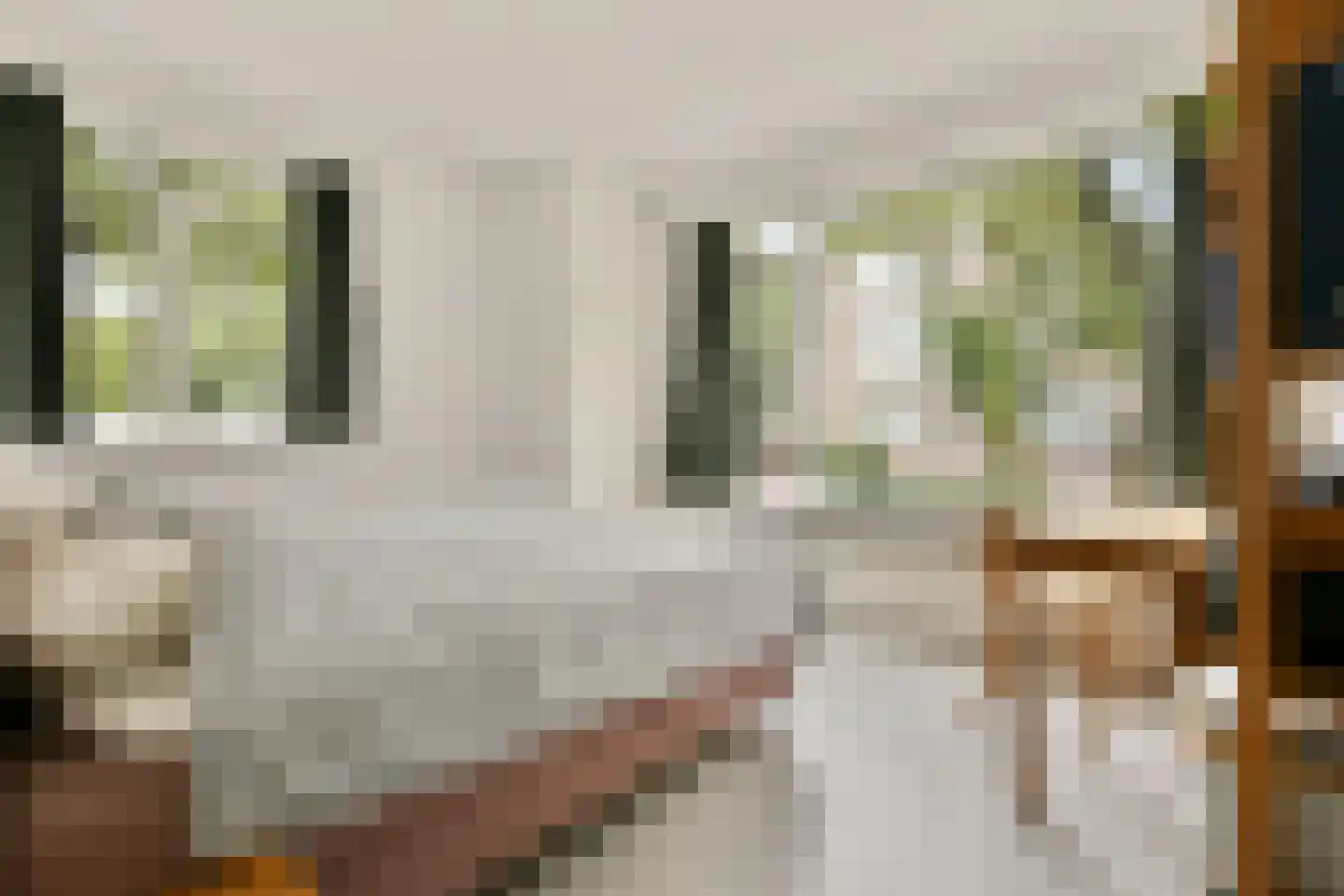 Koxhorn 2 1 Amsterdam thumbnail 15