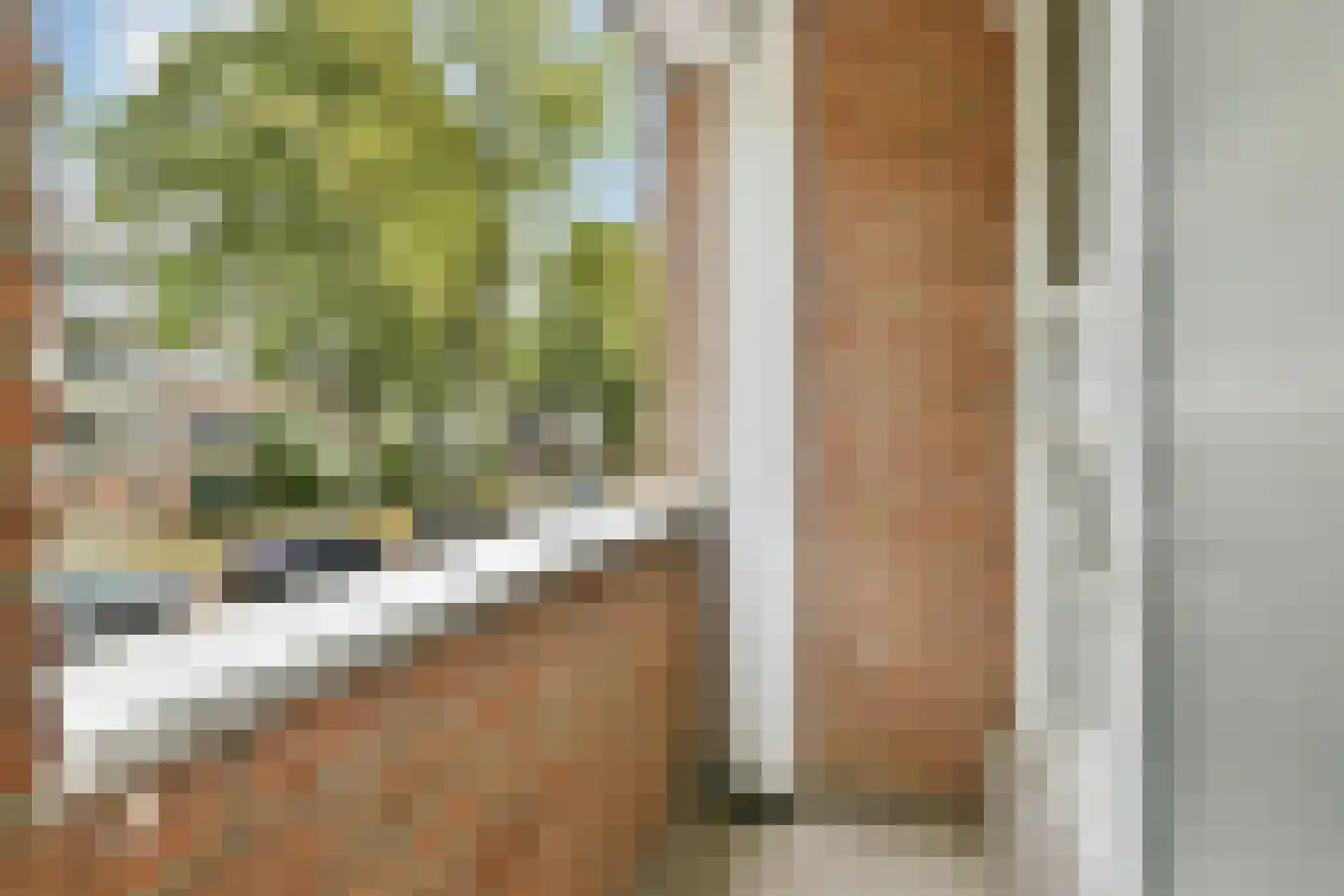 Koxhorn 2 1 Amsterdam thumbnail 19