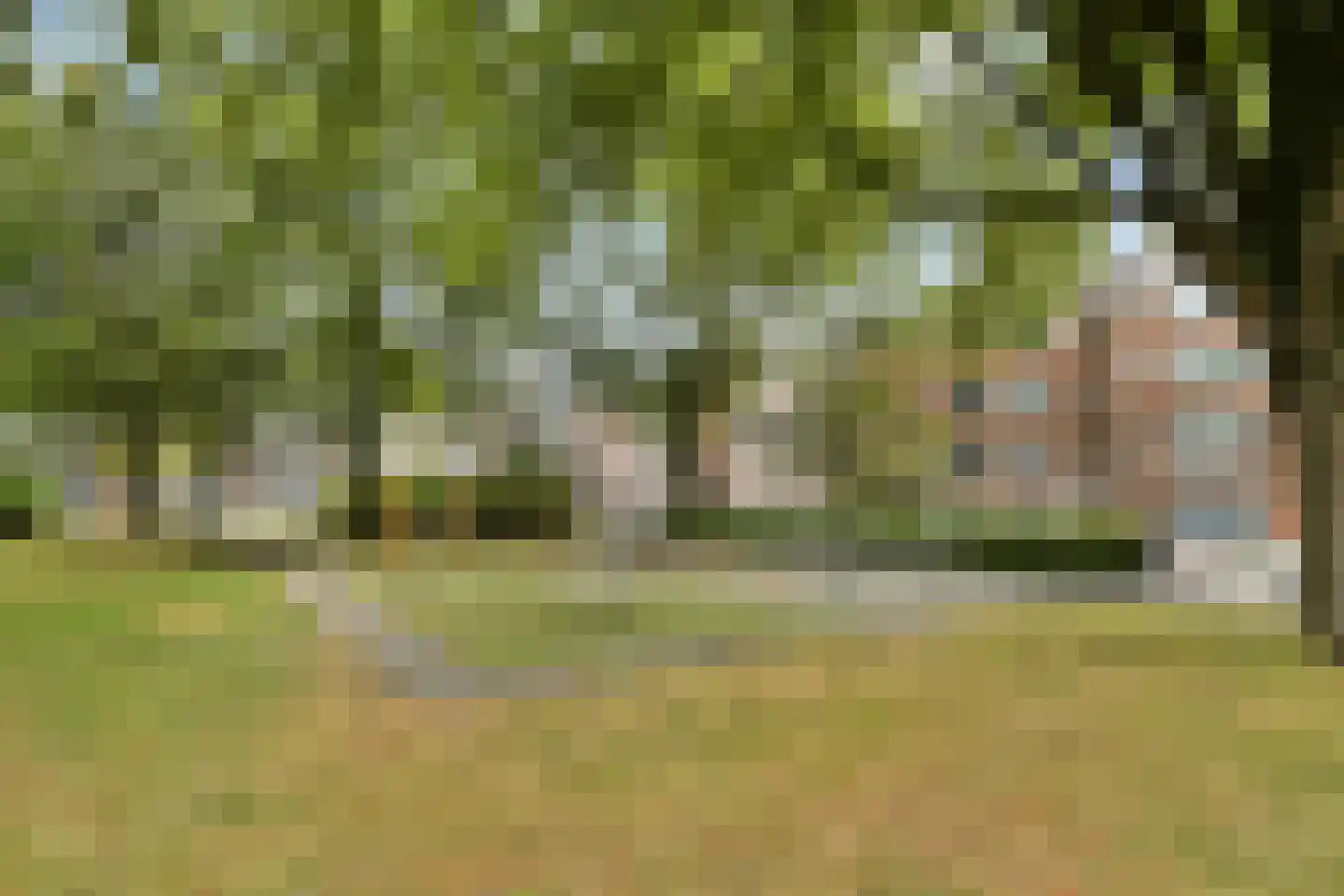 Koxhorn 2 1 Amsterdam thumbnail 25