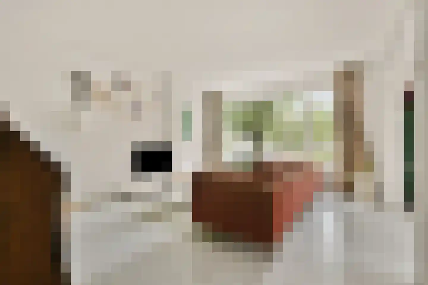 Koxhorn 2 1 Amsterdam thumbnail 4