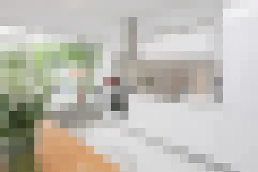Koxhorn 2 1 Amsterdam thumbnail 8