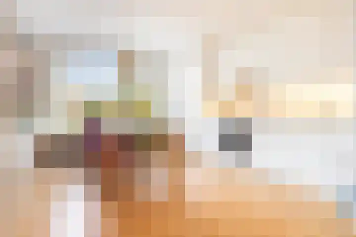 Koxhorn 2 2 Amsterdam thumbnail 10