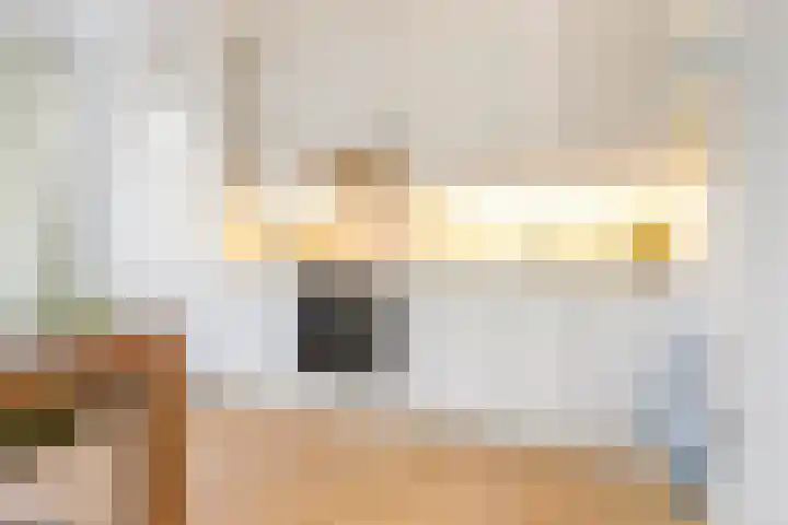 Koxhorn 2 2 Amsterdam thumbnail 11