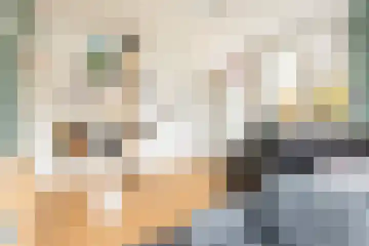 Koxhorn 2 2 Amsterdam thumbnail 14