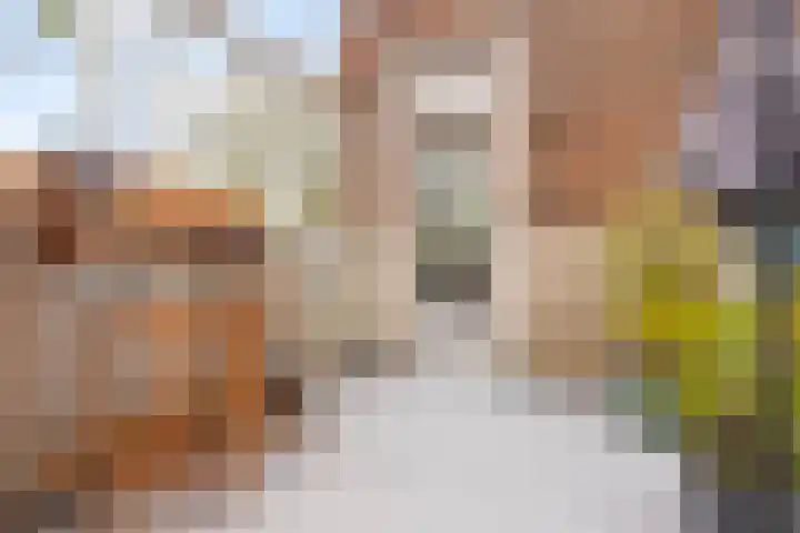 Koxhorn 2 2 Amsterdam thumbnail 22