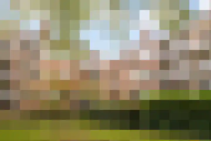 Koxhorn 2 2 Amsterdam thumbnail 24