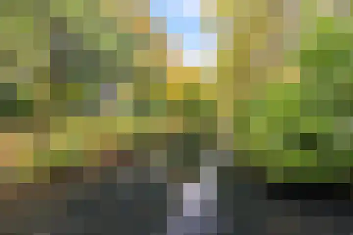 Koxhorn 2 2 Amsterdam thumbnail 27