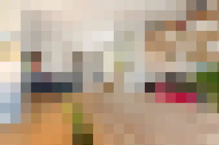 Koxhorn 2 2 Amsterdam thumbnail 9