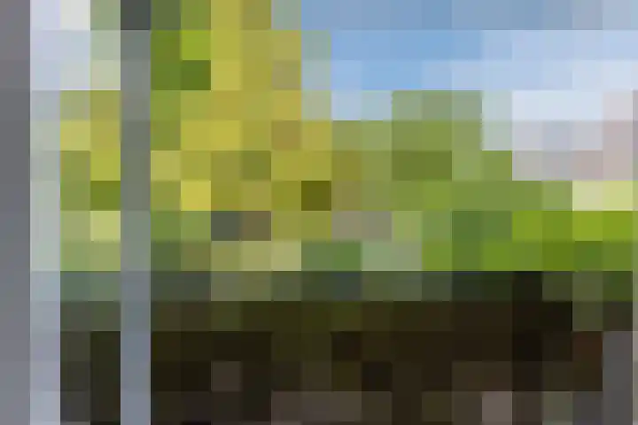 Koxhorn 27 2 Amsterdam thumbnail 11