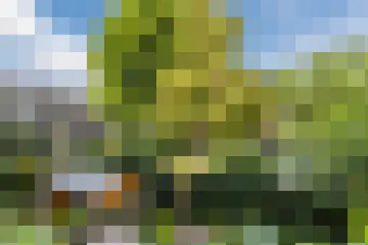 Koxhorn 27 2 Amsterdam thumbnail 12