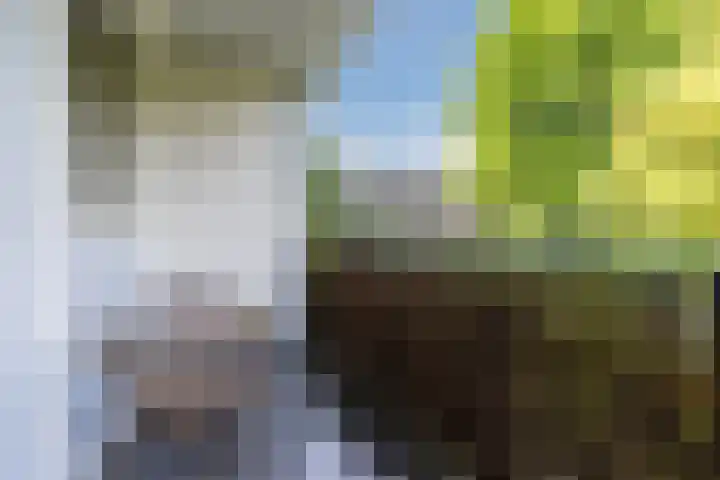 Koxhorn 27 2 Amsterdam thumbnail 14