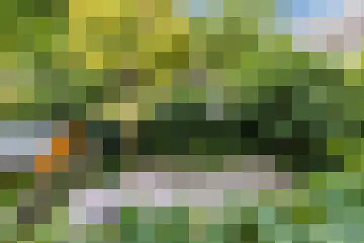 Koxhorn 27 2 Amsterdam thumbnail 15