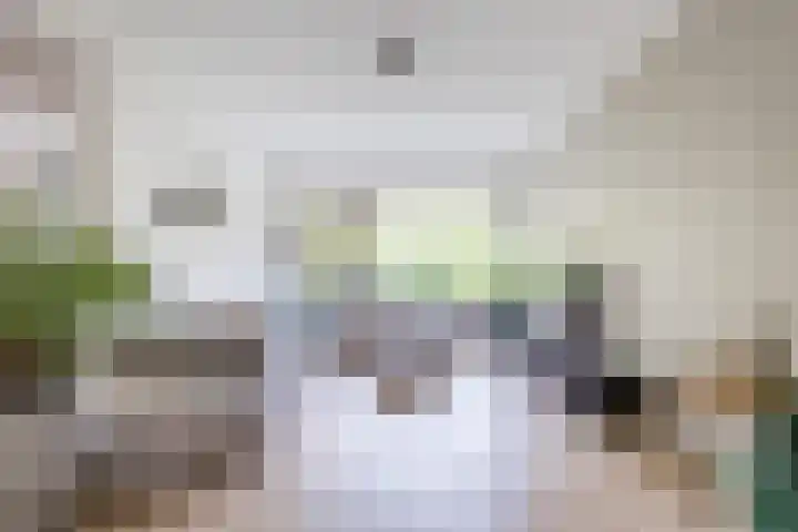 Koxhorn 27 2 Amsterdam thumbnail 17