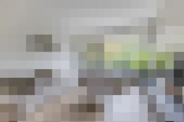 Koxhorn 27 2 Amsterdam thumbnail 20