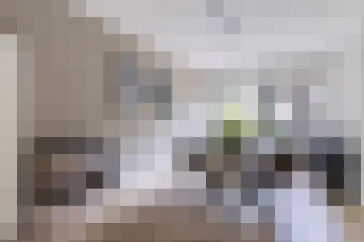 Koxhorn 27 2 Amsterdam thumbnail 21