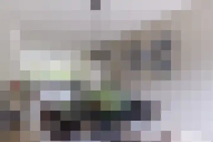 Koxhorn 27 2 Amsterdam thumbnail 22