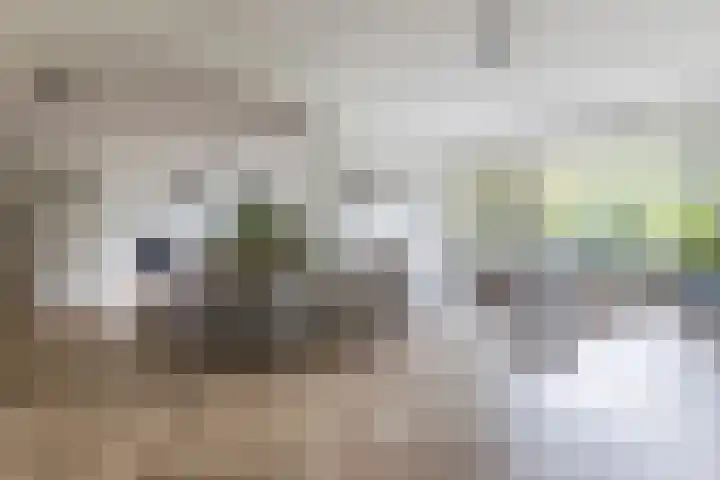 Koxhorn 27 2 Amsterdam thumbnail 23