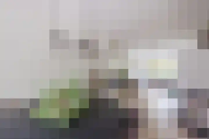 Koxhorn 27 2 Amsterdam thumbnail 24