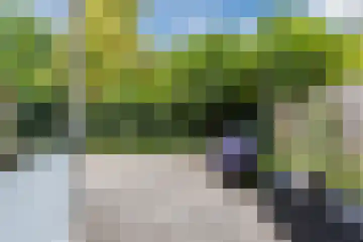 Koxhorn 27 2 Amsterdam thumbnail 35