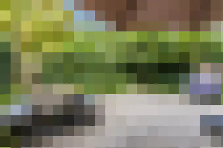 Koxhorn 27 2 Amsterdam thumbnail 36
