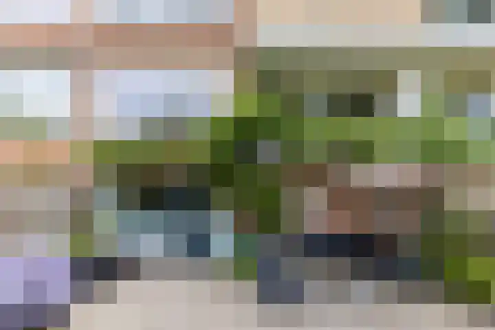 Koxhorn 27 2 Amsterdam thumbnail 37
