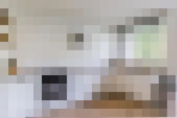 Koxhorn 27 2 Amsterdam thumbnail 4