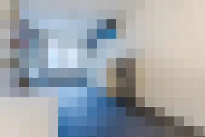 Koxhorn 27 2 Amsterdam thumbnail 44
