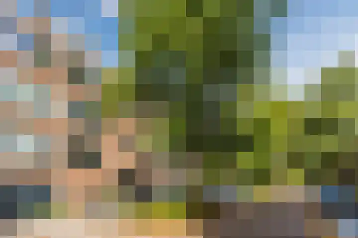 Koxhorn 27 2 Amsterdam thumbnail 46