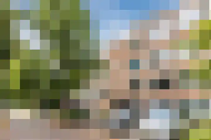 Koxhorn 27 2 Amsterdam thumbnail 47