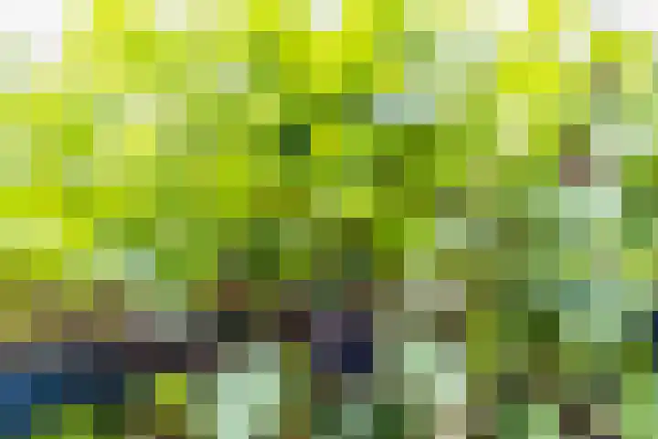 Koxhorn 27 2 Amsterdam thumbnail 52