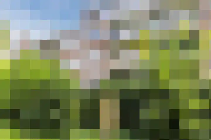 Koxhorn 27 2 Amsterdam thumbnail 53