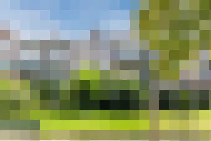 Koxhorn 27 2 Amsterdam thumbnail 54