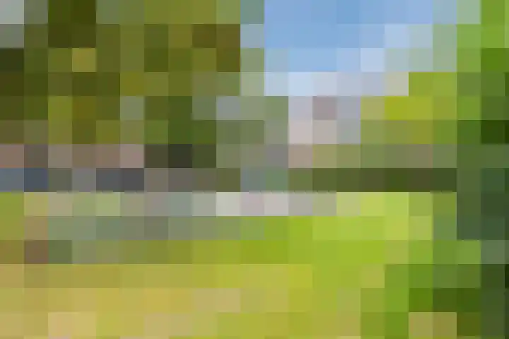 Koxhorn 27 2 Amsterdam thumbnail 55