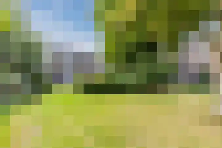 Koxhorn 27 2 Amsterdam thumbnail 56
