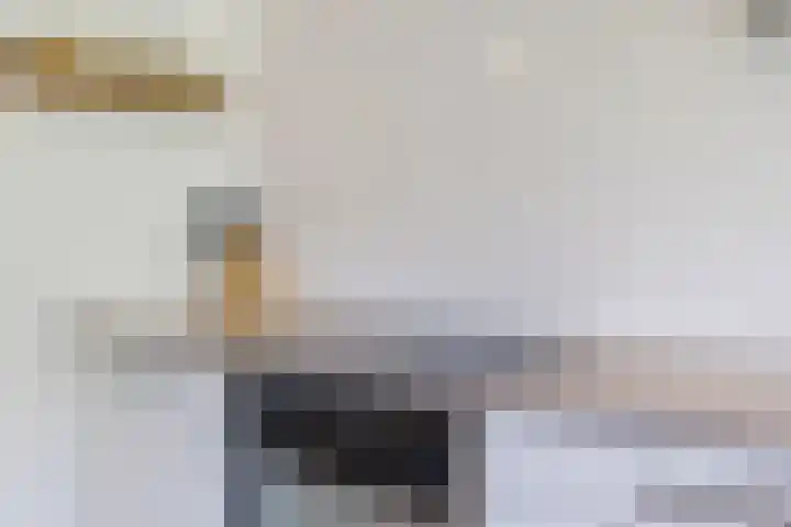 Koxhorn 27 2 Amsterdam thumbnail 8