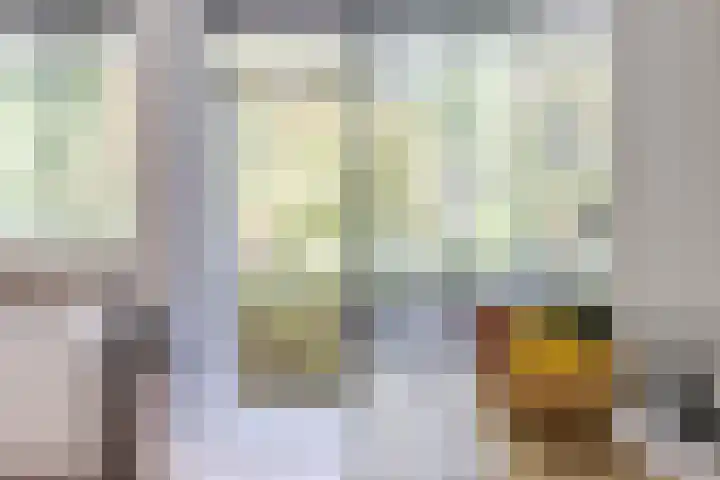 Koxhorn 27 2 Amsterdam thumbnail 9