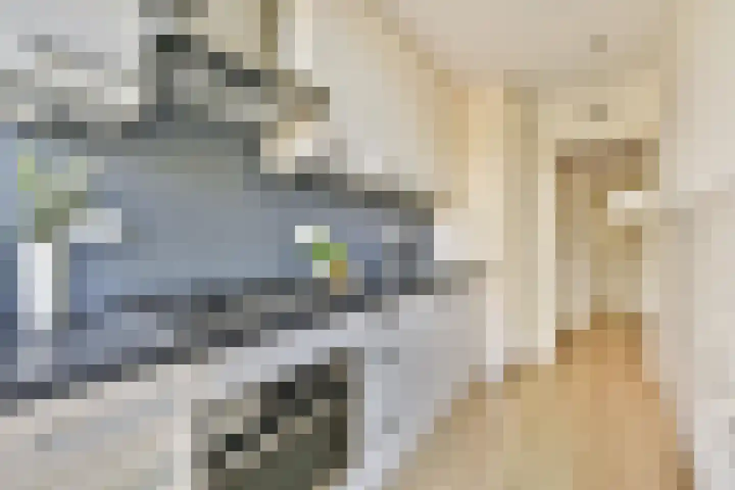 Koxhorn 33 3 Amsterdam thumbnail 16